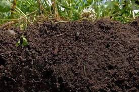土壤有机质对土壤的帮助